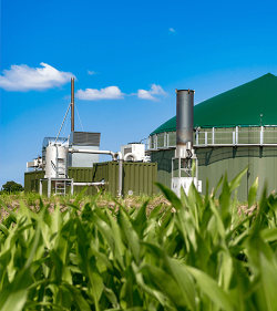 Biogasanlage auf dem Maisfeld, (C) Shutterstock, Wolfgang Jargstorff