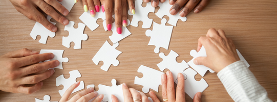 541x200_Diversity-Management_shutterstock_1022439433_c_fizkes.png