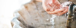 541x200 Trinkwasserhygiene | shutterstock_259122731_c_mariait