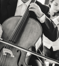 200x224_Cello_shutterstock_367736534_c_Stokkete.png
