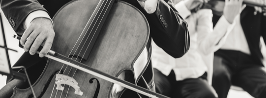 200x224_Cello_shutterstock_367736534_c_Stokkete.png