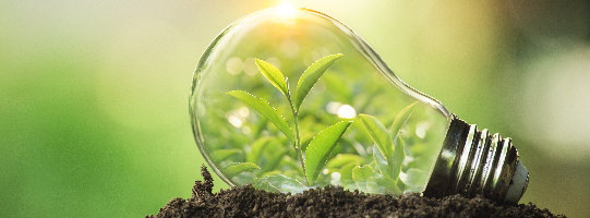 Umweltmanagement_541x200_shutterstock_1386286793_c_Kowit-Lanchu-1.png