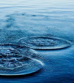 Planung von Versickerungs- und Retentionsanlagen