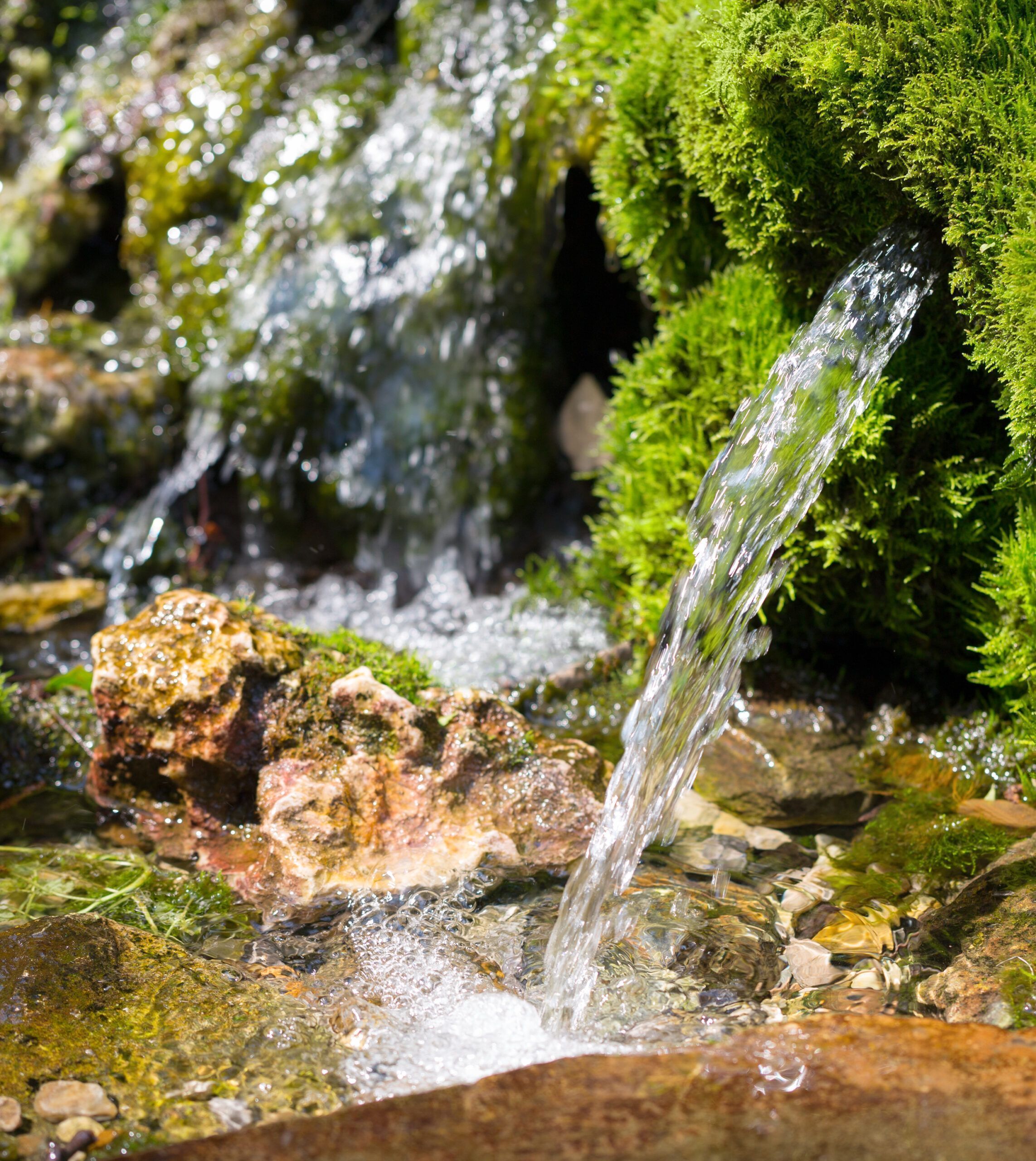 541x200_Quellfassung_ILYA-AKINSHIN_shutterstock_210641371-scaled.jpg