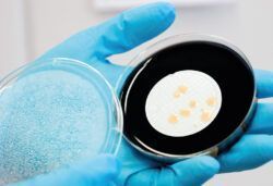 Trinkwasserhygiene und Legionellenprophylaxe