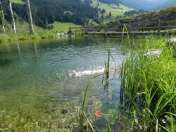 Ökologische Bauaufsicht