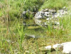 Ökologische Bauaufsicht