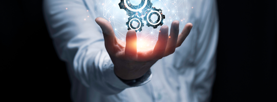 541x200_IT-Service-Management_shutterstock_1674246778_c_Dilok-Klaisatap.png